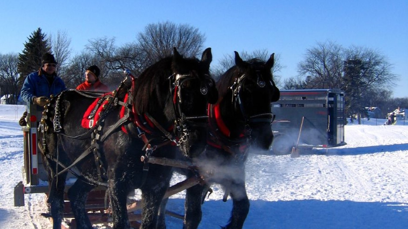 Horse and sleigh at Lincoln Dr... by Tu