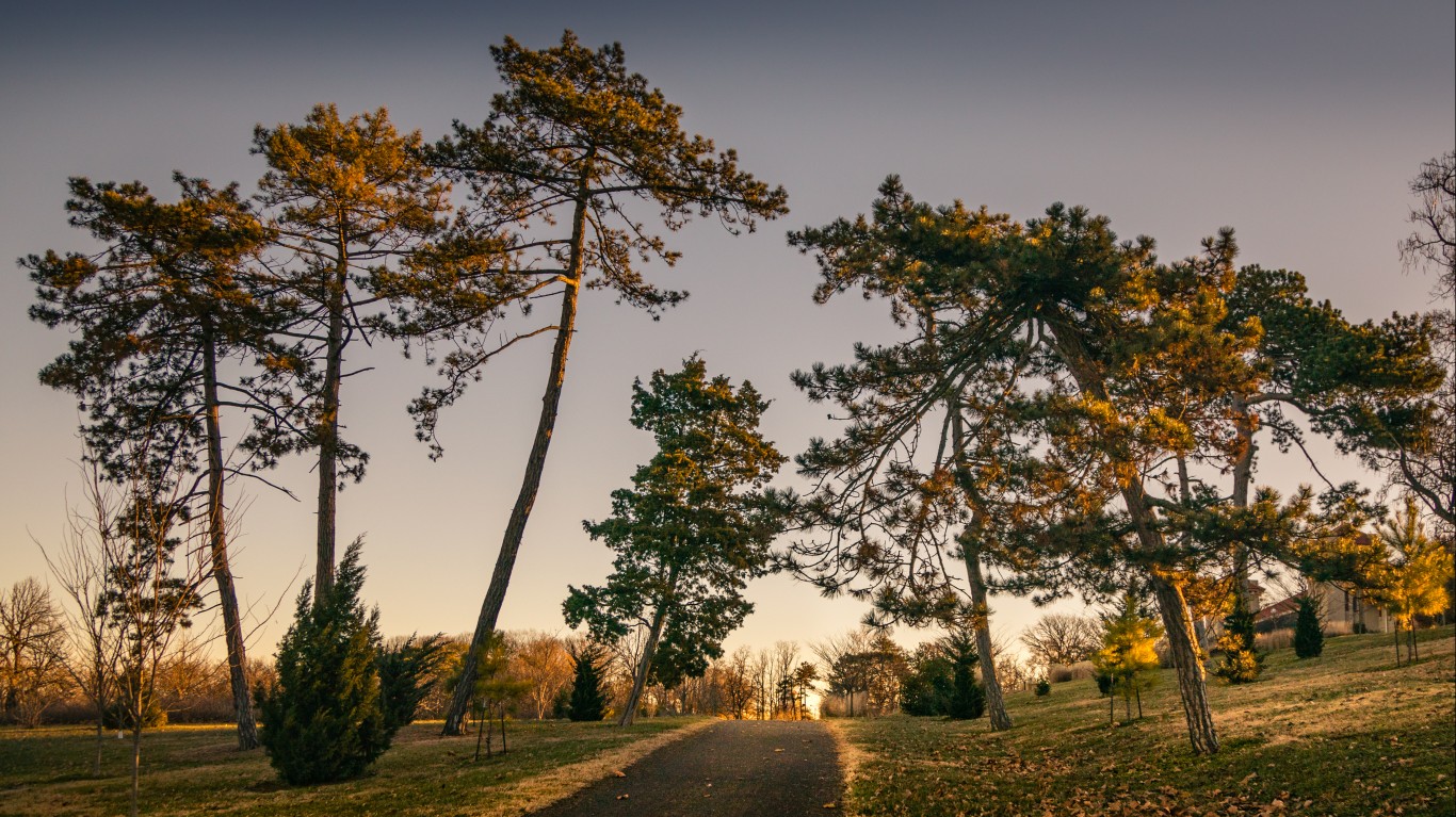 road up government hill by Christian Collins