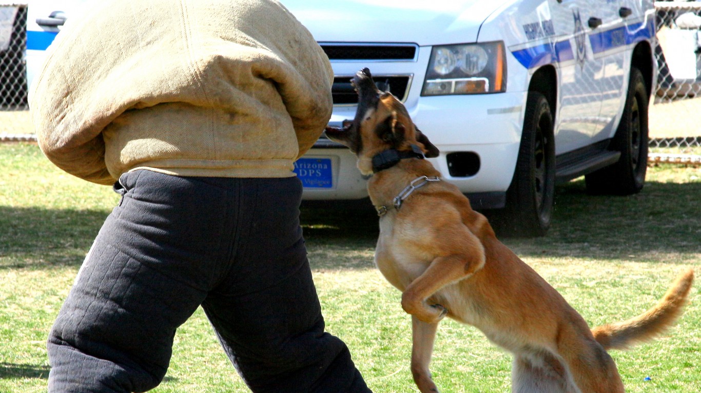 Police K9 Demonstration by Bill Morrow