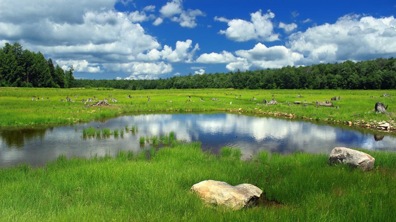 Lower Klondike Pond (Revisited... by Nicholas A. Tonelli