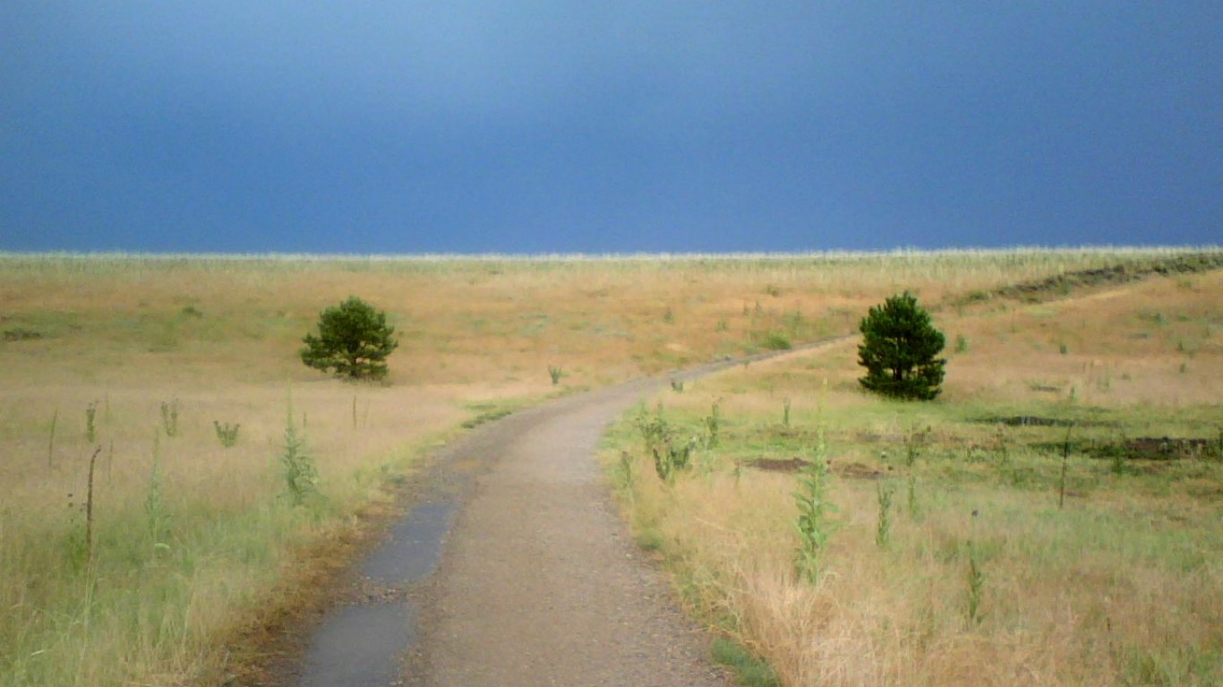 Following the Storm - Coyote ... by Greg Younger