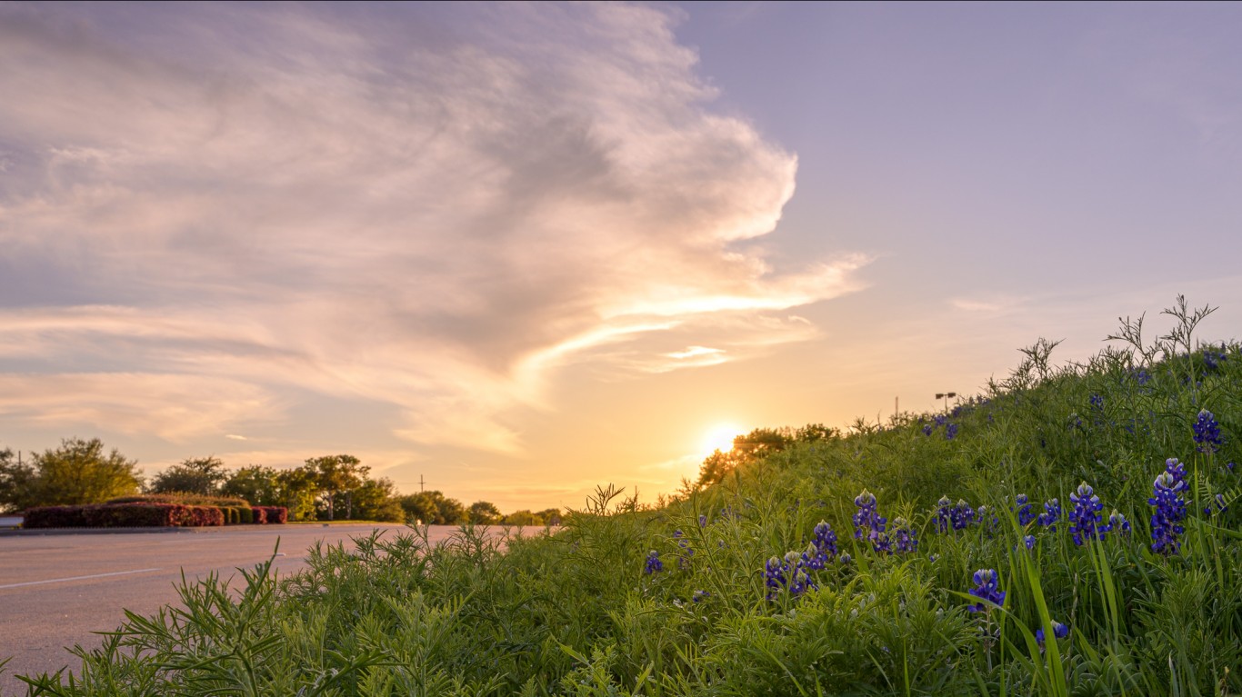 Sunset at the Flower Mound by Shiva Shenoy