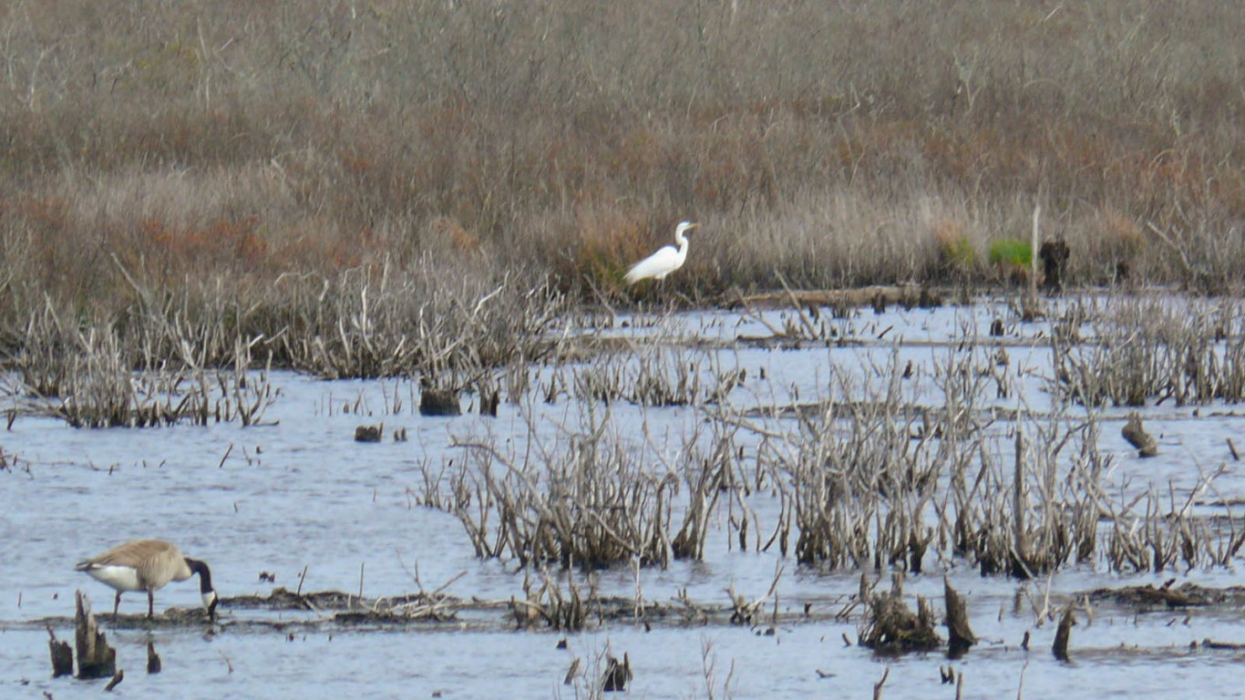 20080425 11 Wildlife Refuge, R... by David Wilson