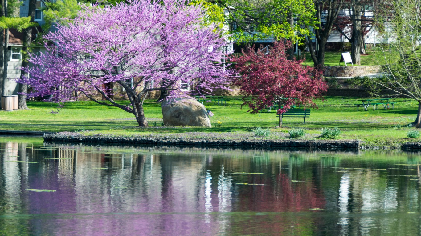 Liberty Park by Doug Davey