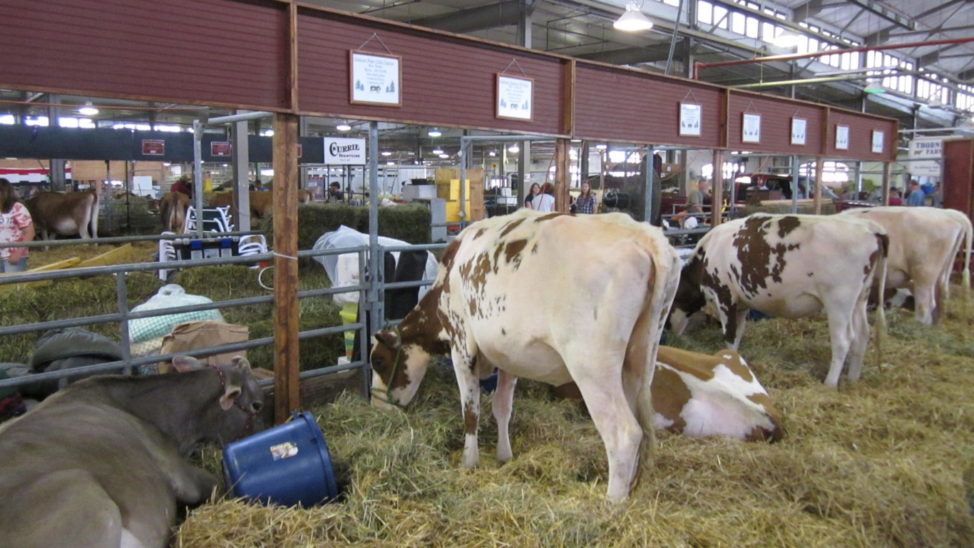 The Great New York State Fair ... by Doug Kerr