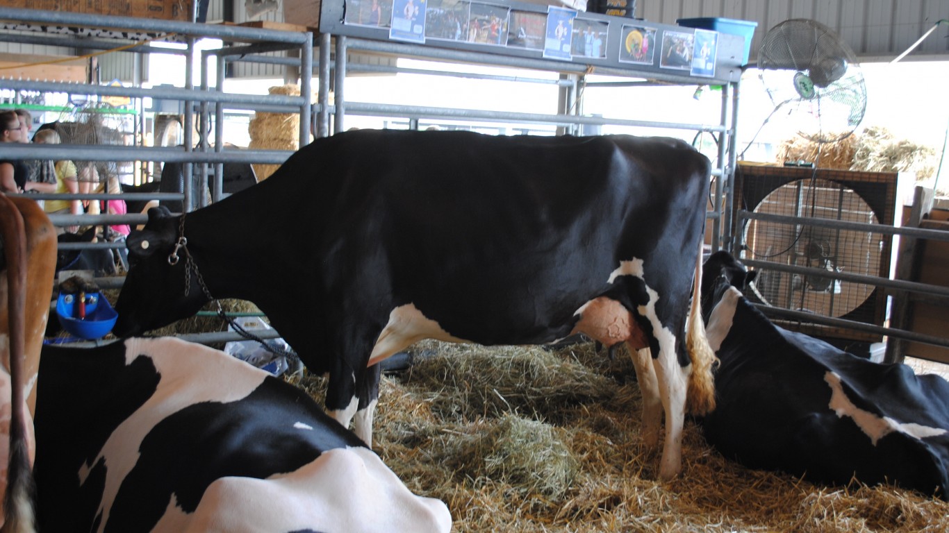 Delaware State Fair - 2012 by Lee Cannon