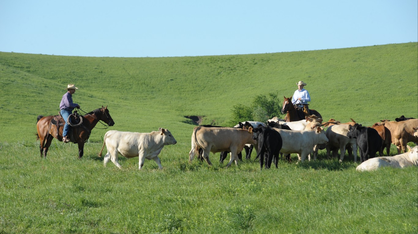 Stocker Unit_066 by K-State Research and Extension