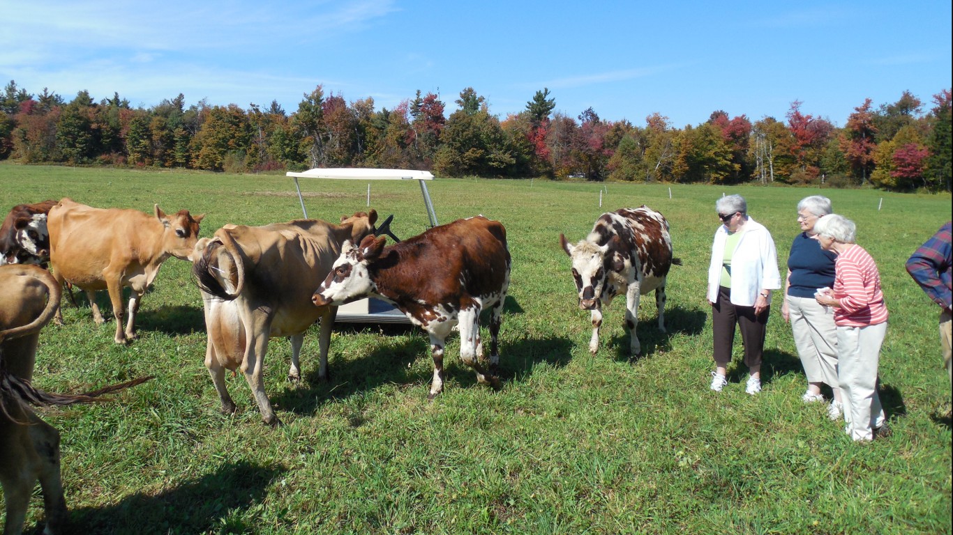 SideHill Farm - Hawley, Massac... by Doug Kerr