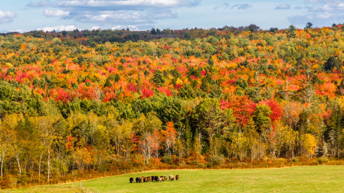 Autumn Scene by Paul VanDerWerf