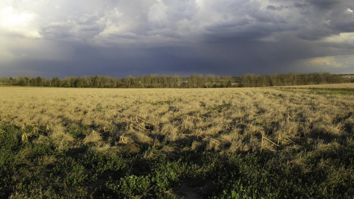 Near Caldwell, Texas by Charlie Llewellin