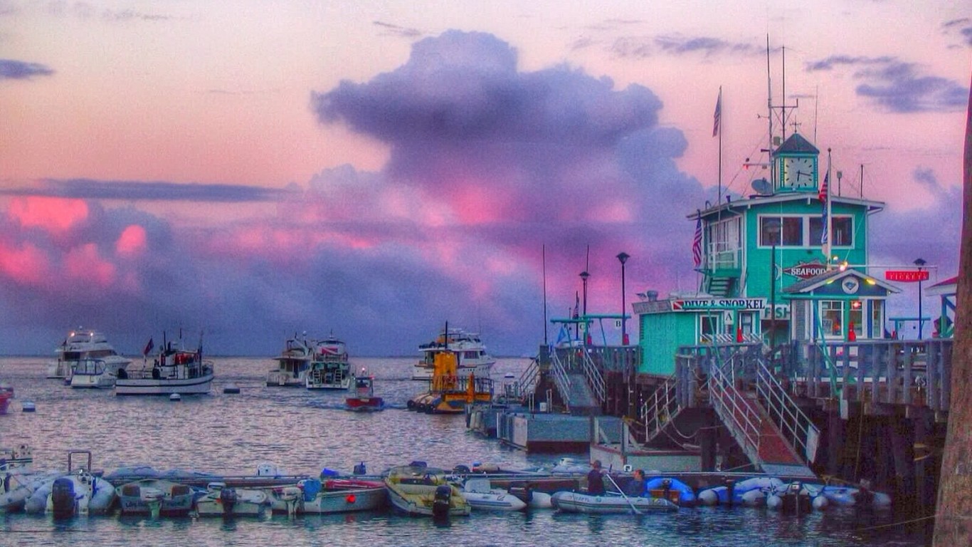 catalina island. by alyssa BLACK.