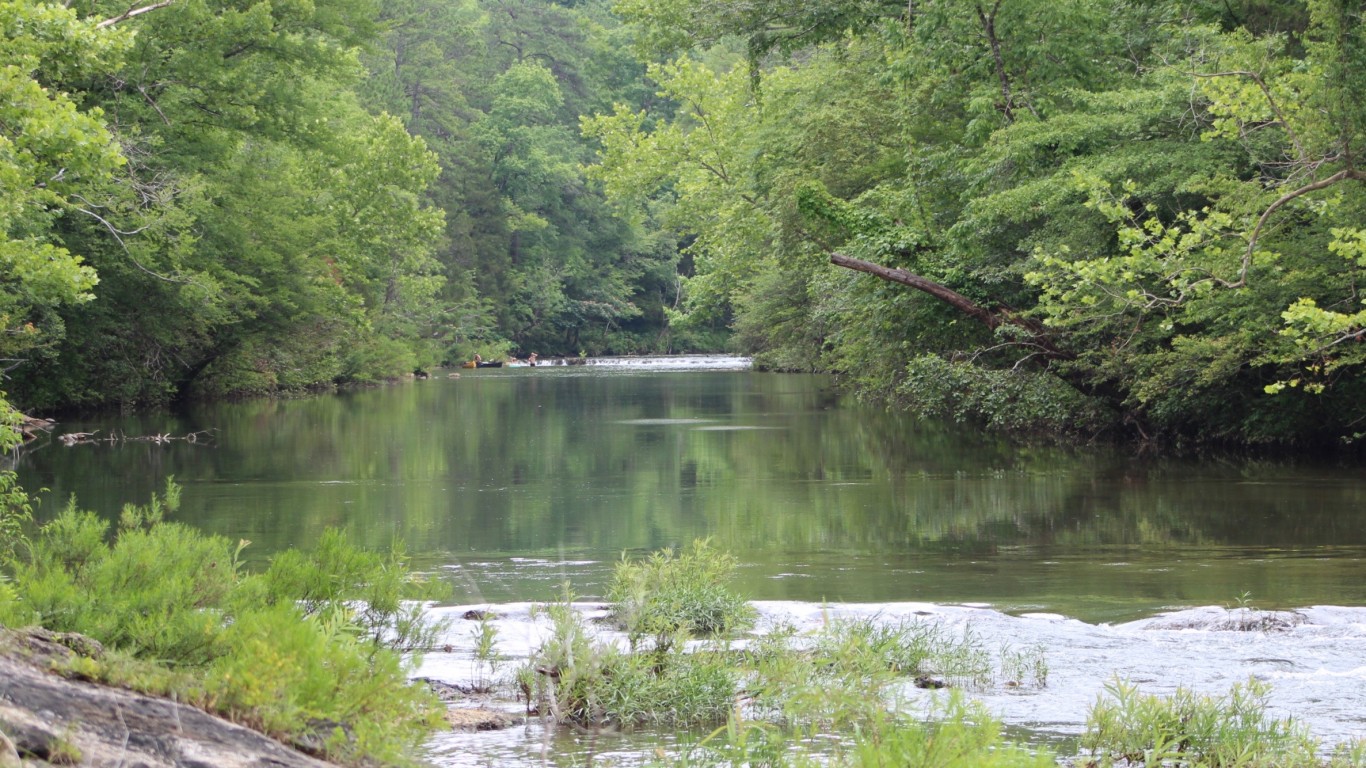 Little Cahaba River, Bibb Coun... by Andy Montgomery