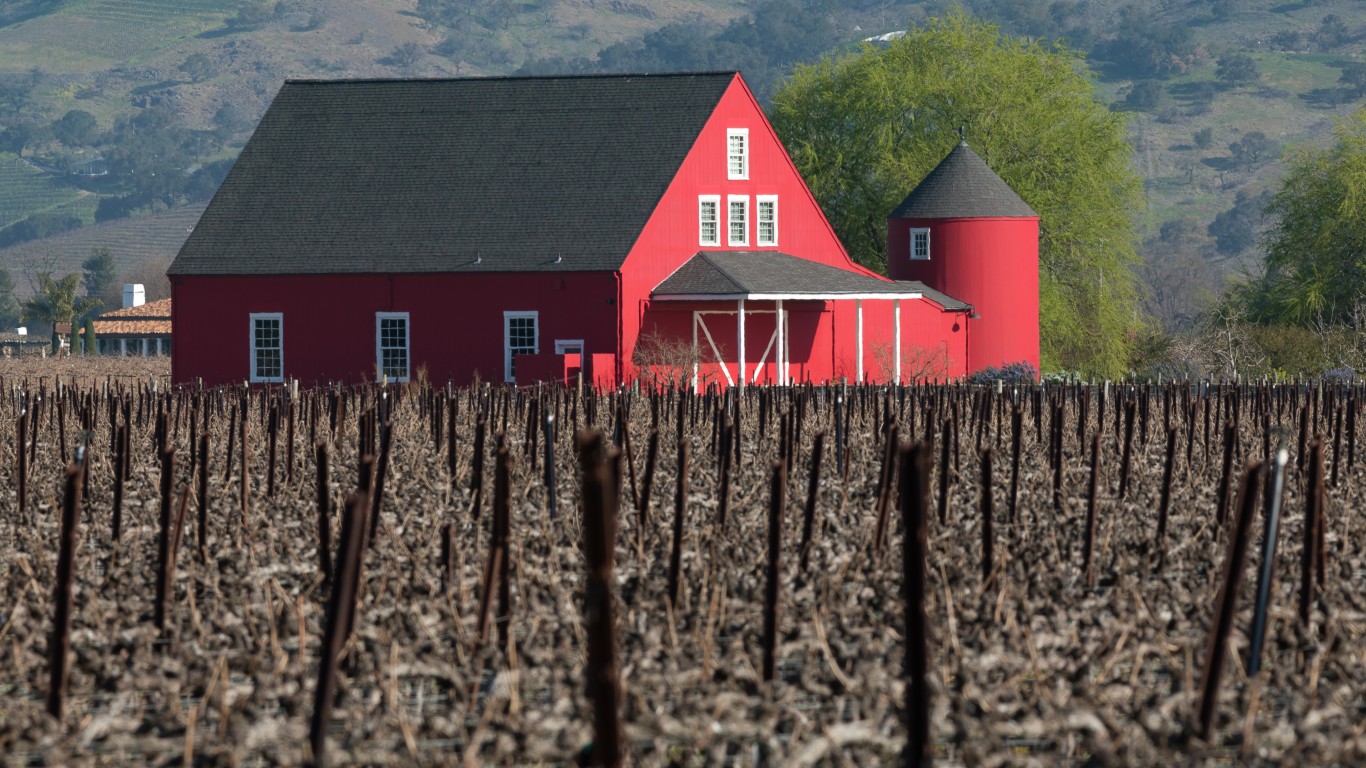 Napa Valley | 2020 by wikiphotographer