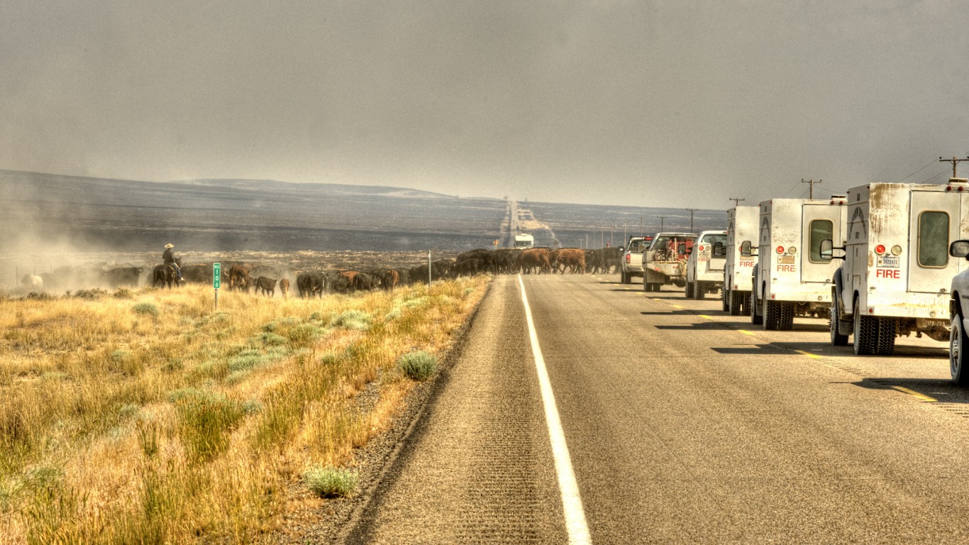 Long Draw Fire by Bureau of Land Management Oregon and Washington