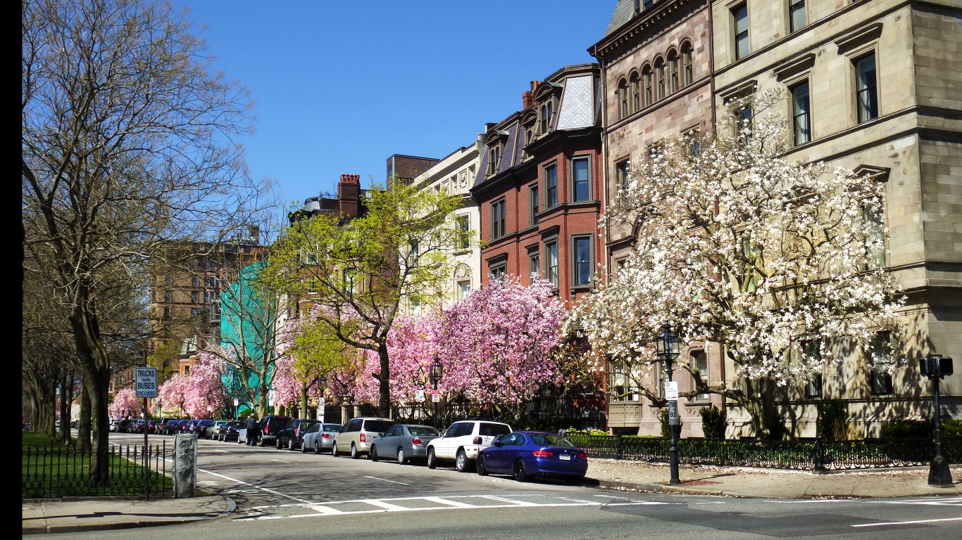 Blooming Boston by liz west