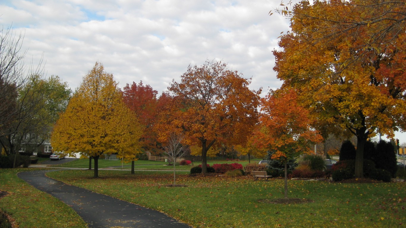 Weidner Park - Buffalo Grove by Brian Plunkett