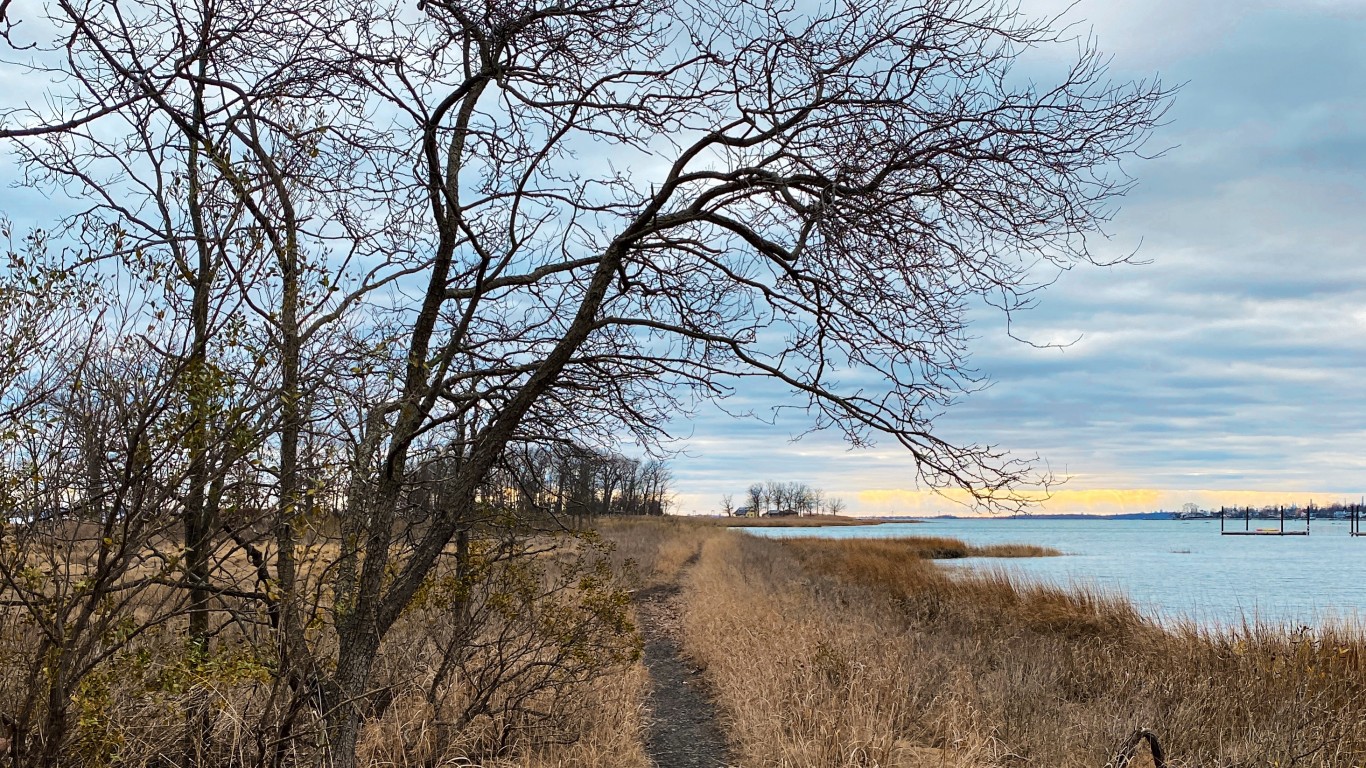 Marshlands Conservancy, Rye, N... by Bryan Pocius