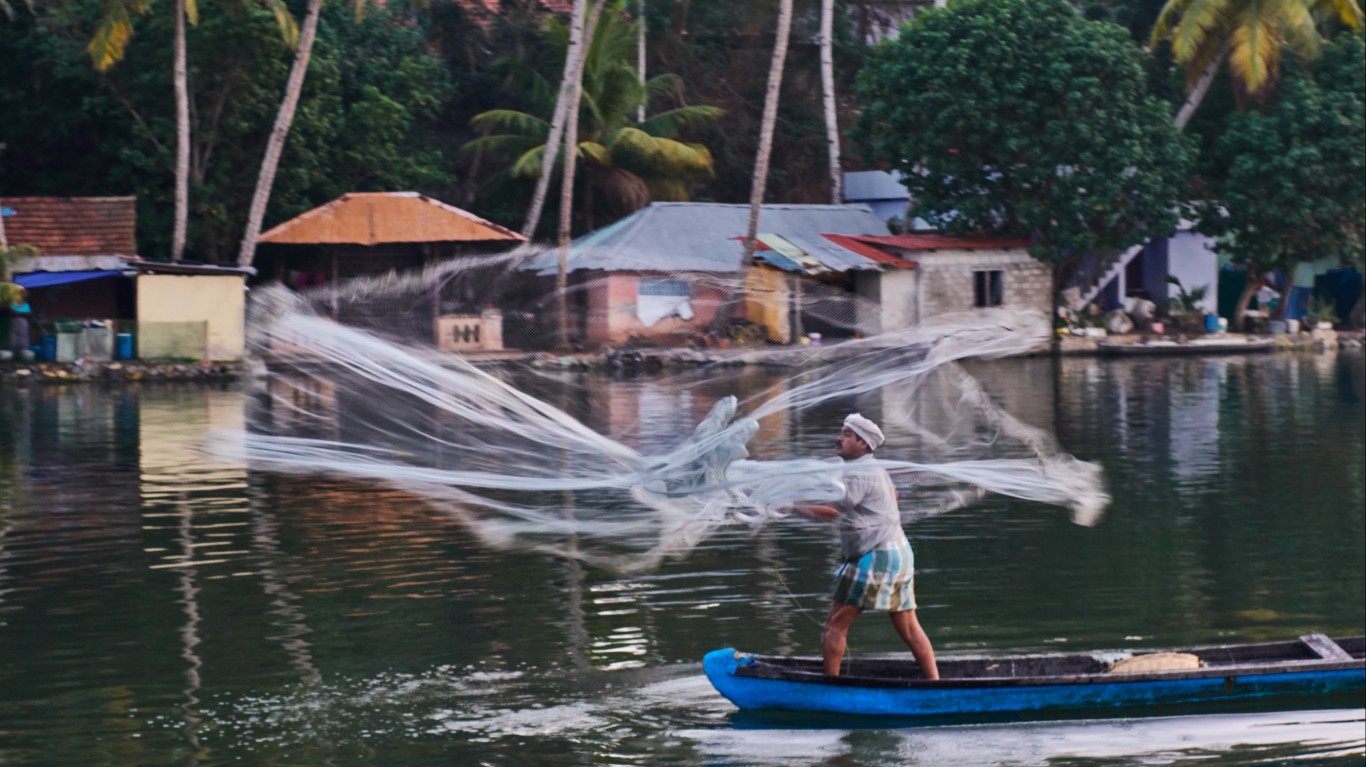 India Kayamkulam, Kerala, fish... by Vladimir Buynevich