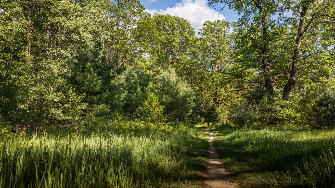 sun splashed path by Christian Collins