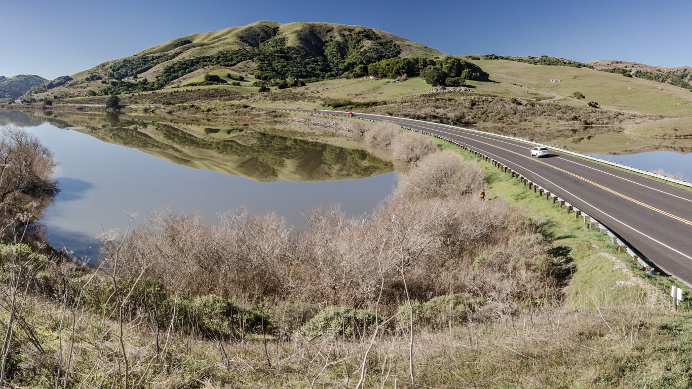 Pont Reyes Petaluma Rd by Michele Ursino