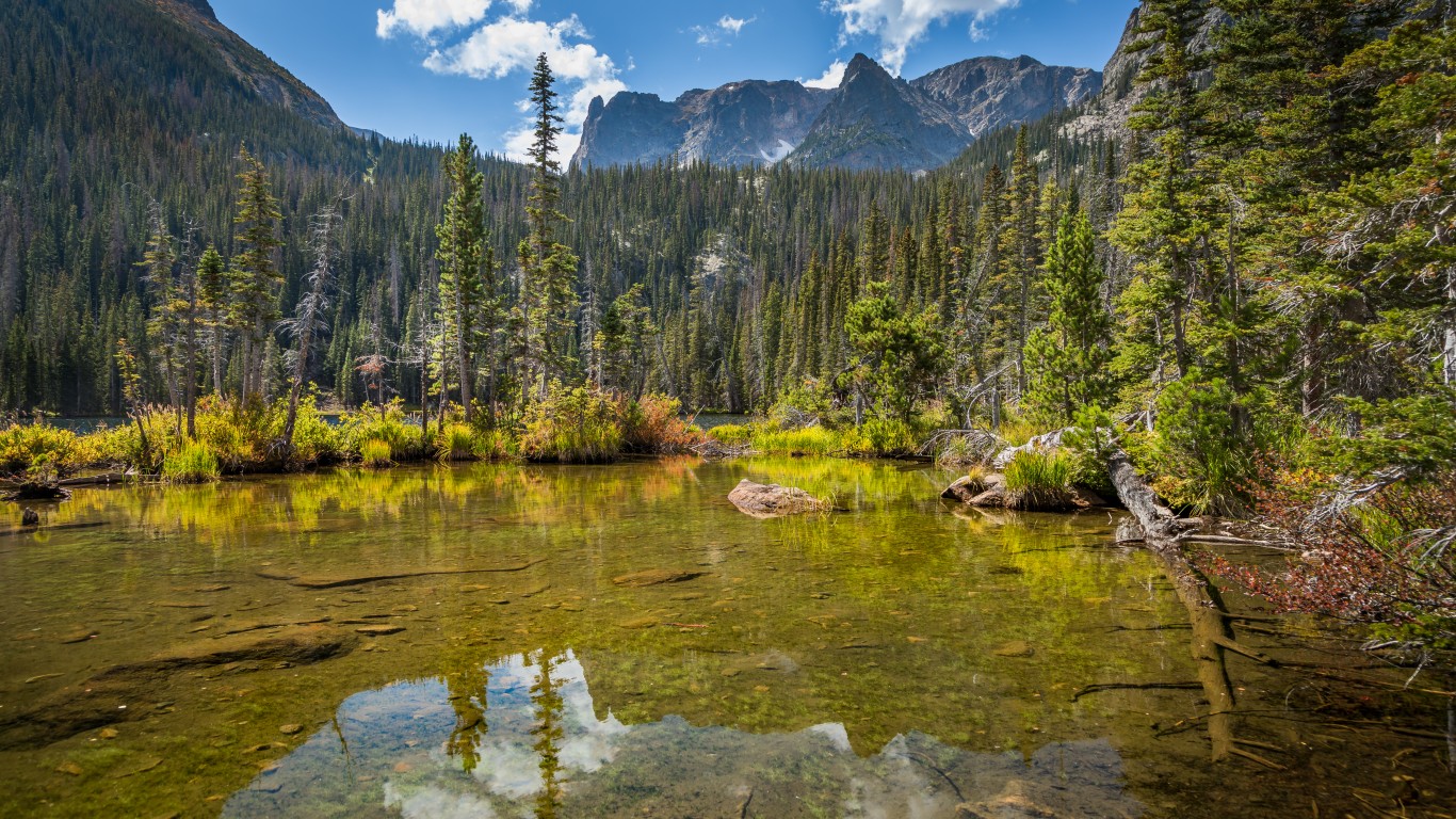 fern lake by Christian Collins