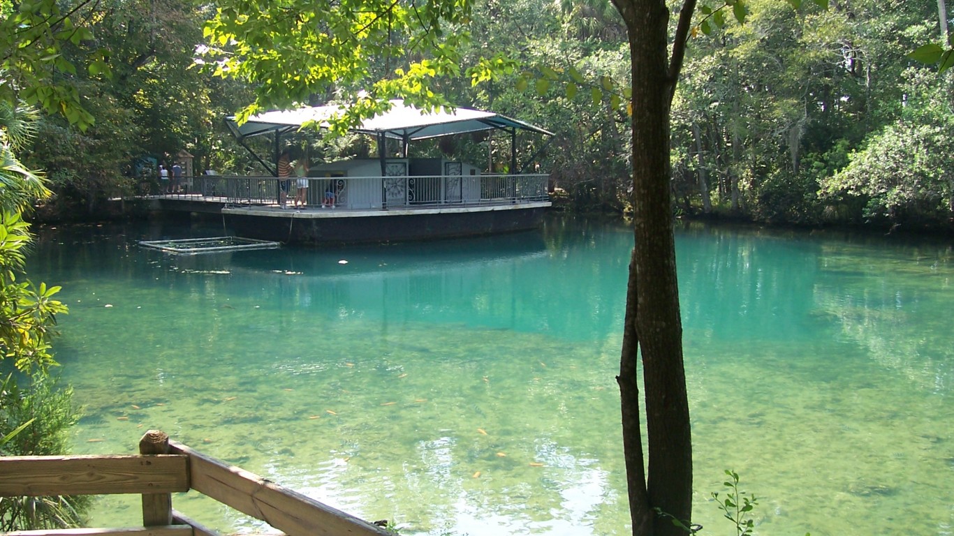 Homosassa Springs Wildlife Sta... by Paul Clark