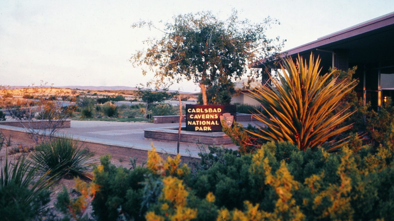 New Mexico - Carlsbad Cave... by Barbara Ann Spengler