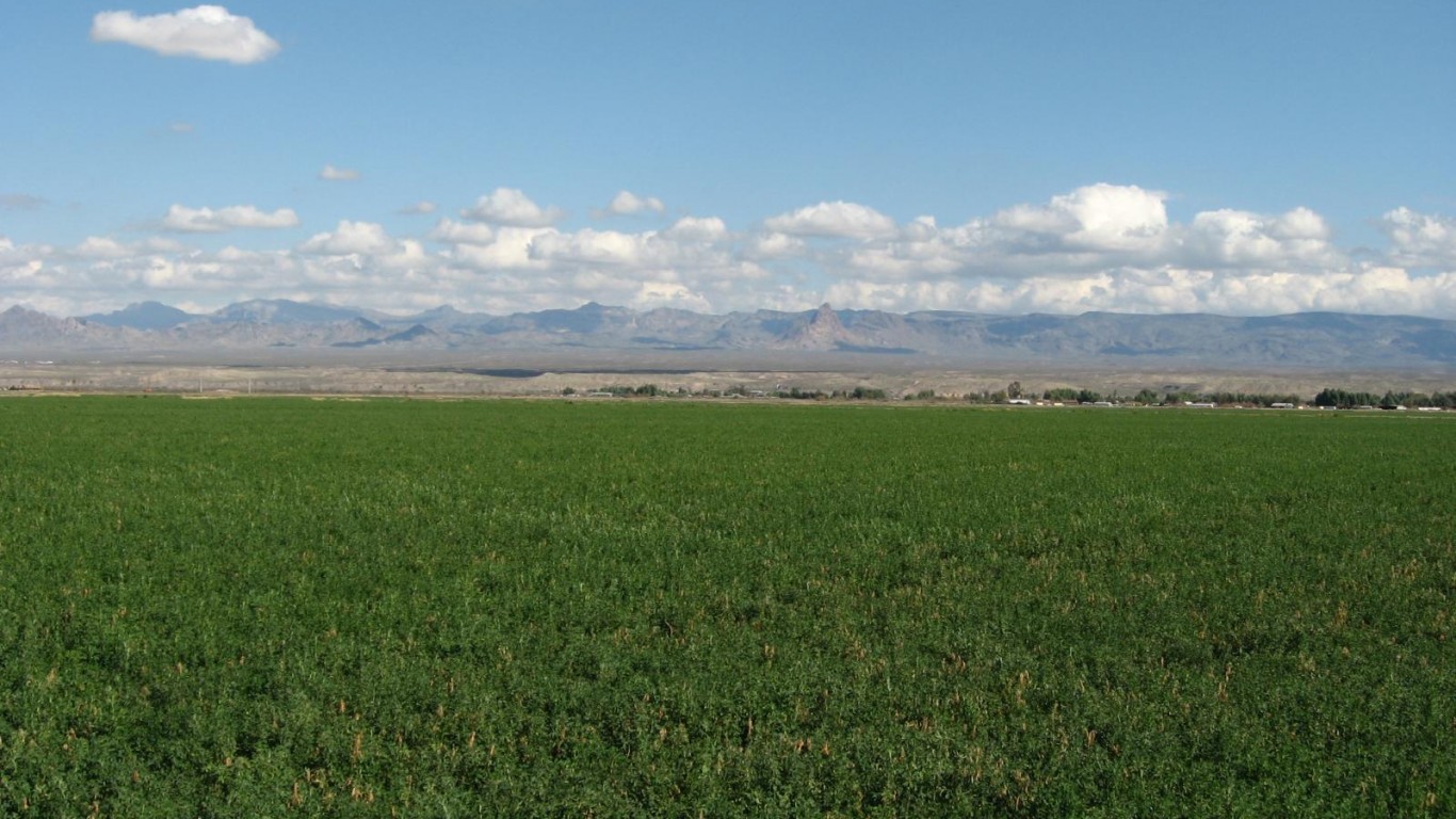 Mohave Valley, Arizona by Ken Lund