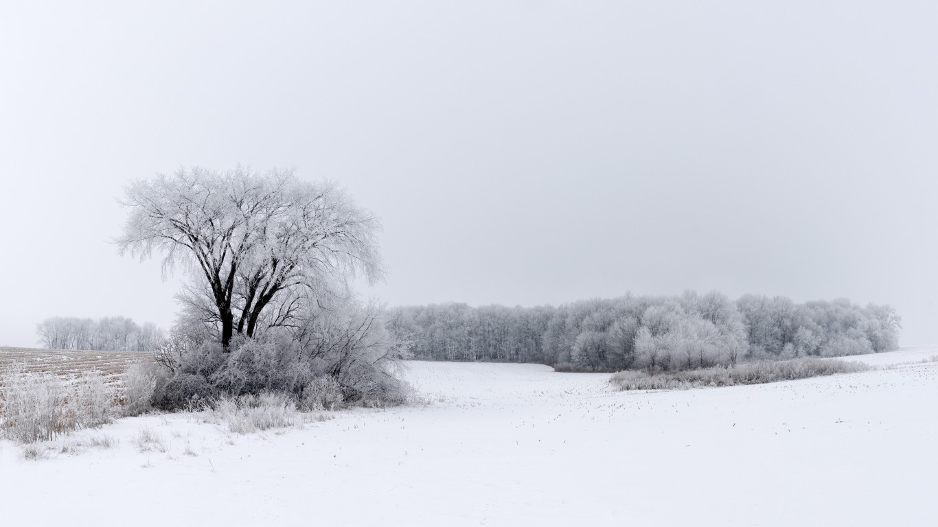 Rime ice and fog in Pierce Cou... by Lorie Shaull