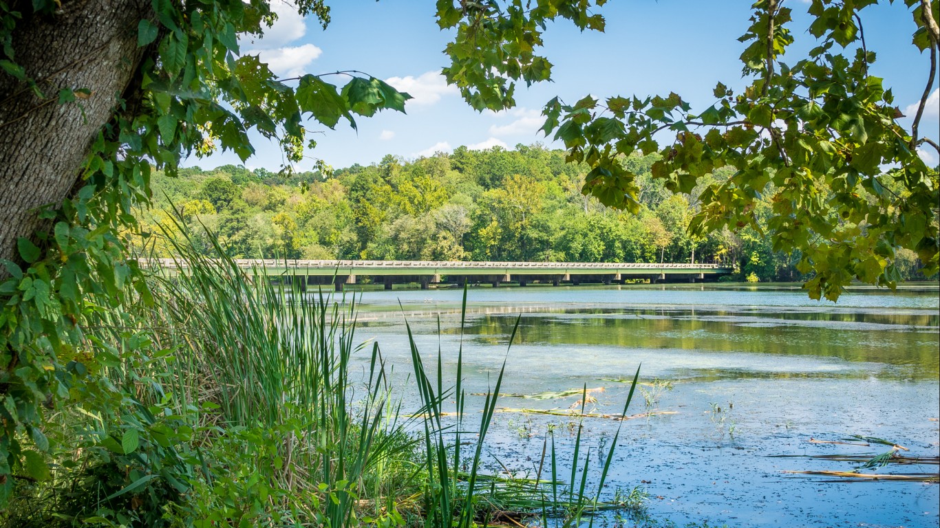 Bridge Over the Ocmulgee River by Lee Coursey