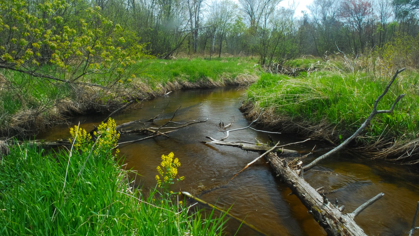 Creek by Joshua Mayer