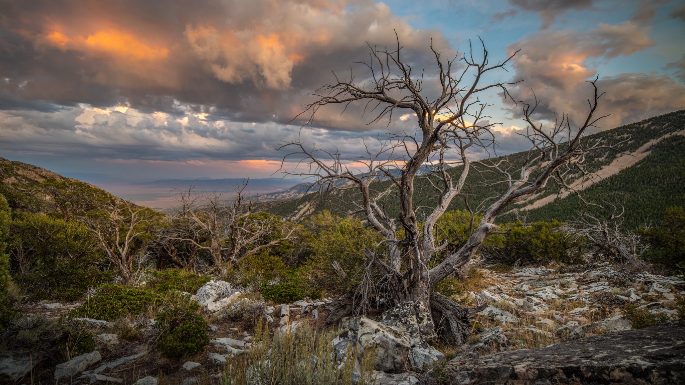 Great Basin National Park by Andrew Kearns