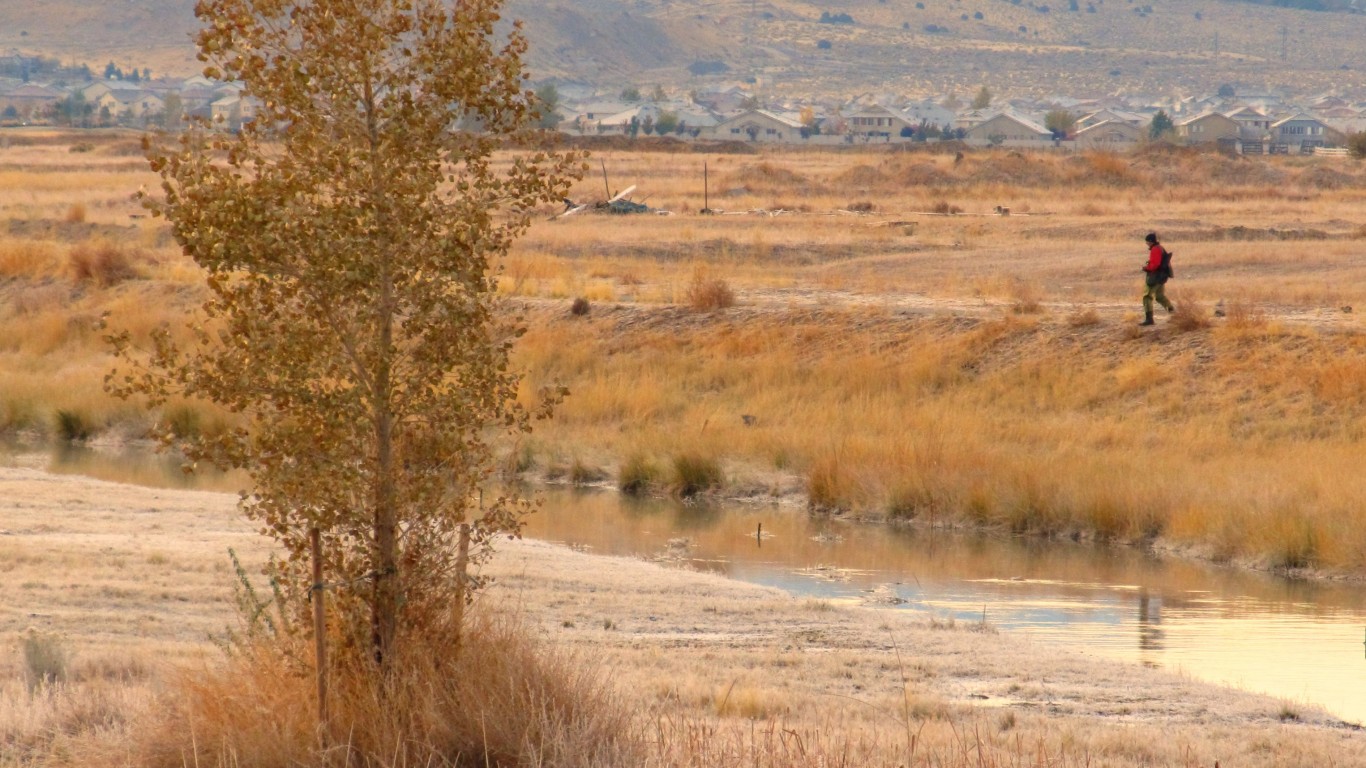 Duck Hunting, Washoe County, N... by Ken Lund