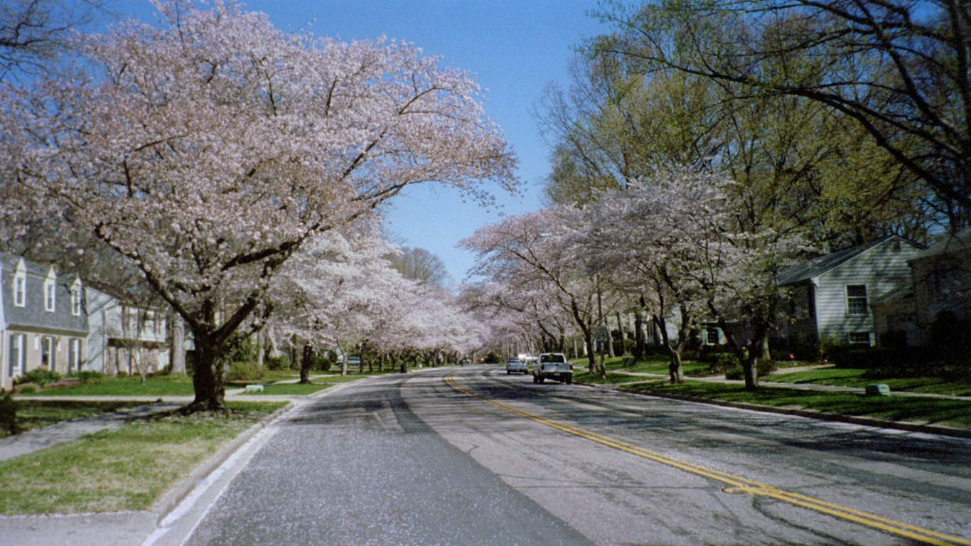 Crofton Parkway spring by MsCrof