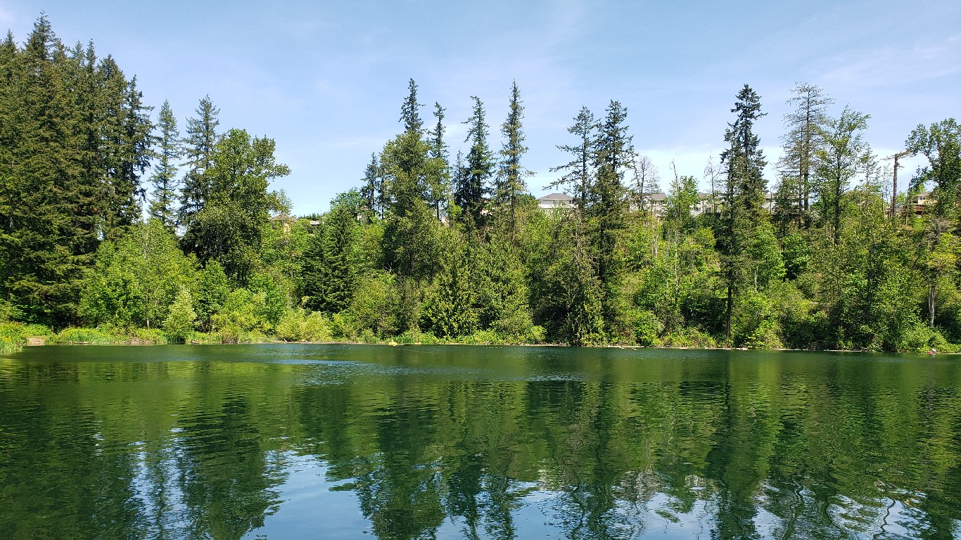 Lake Wilderness in Maple Valley by Yordanpopovbg