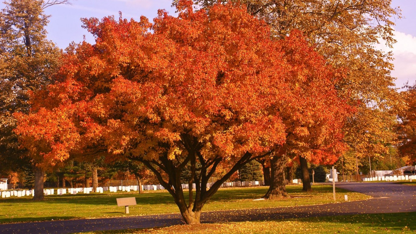 Danville IL National Cemetary by Paul J Everett