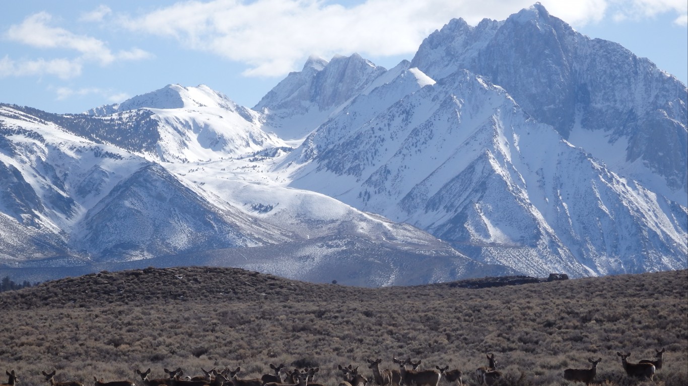 Long Valley Caldera by Bureau of Land Management California