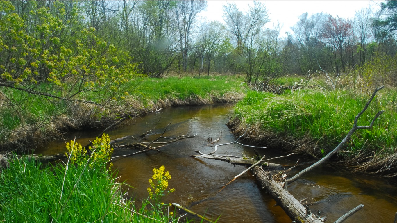 Creek by Joshua Mayer