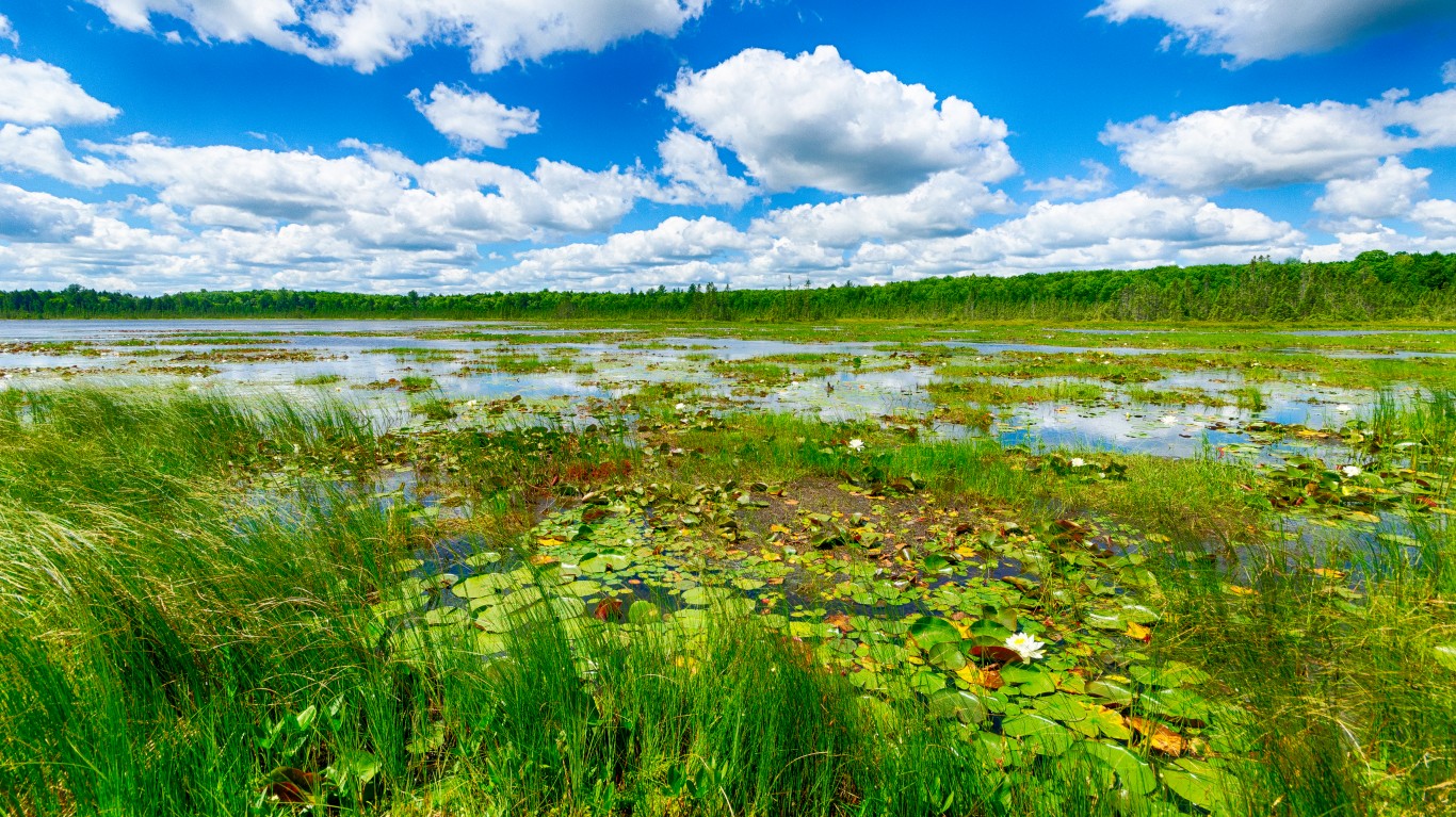 Lake &amp; Wetlands by Joshua Mayer