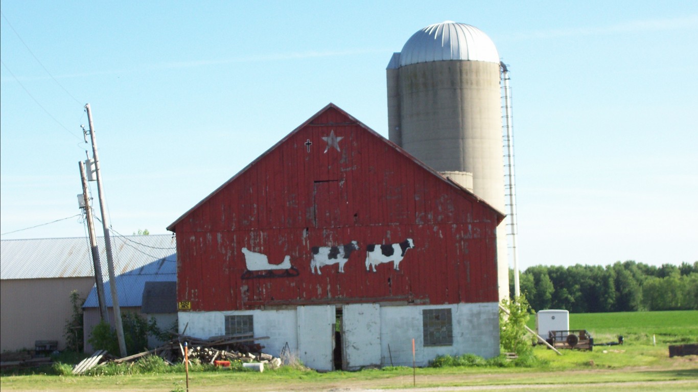 Cows pulling a sleigh on a bar... by Royal Broil