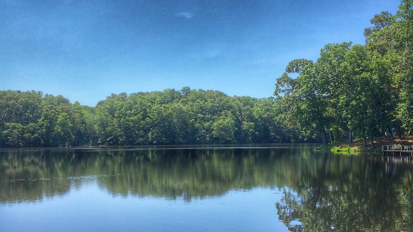 Diamond Pond, Milton, Delaware by Michele Dorsey Walfred