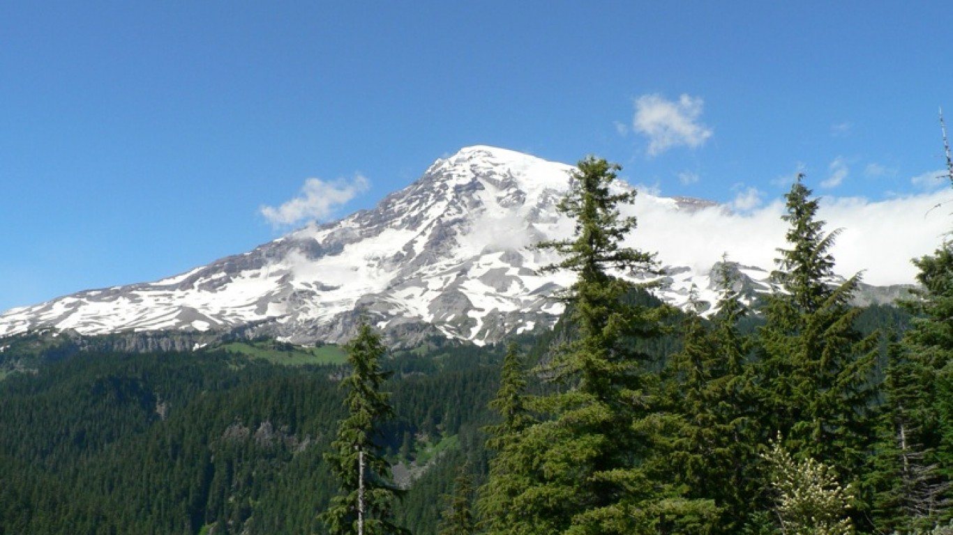 Mount Rainier National Park by Sali Sasaki