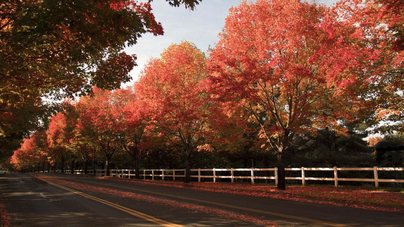 Maple trees in Sherwood, Oregon by Bonnie Moreland