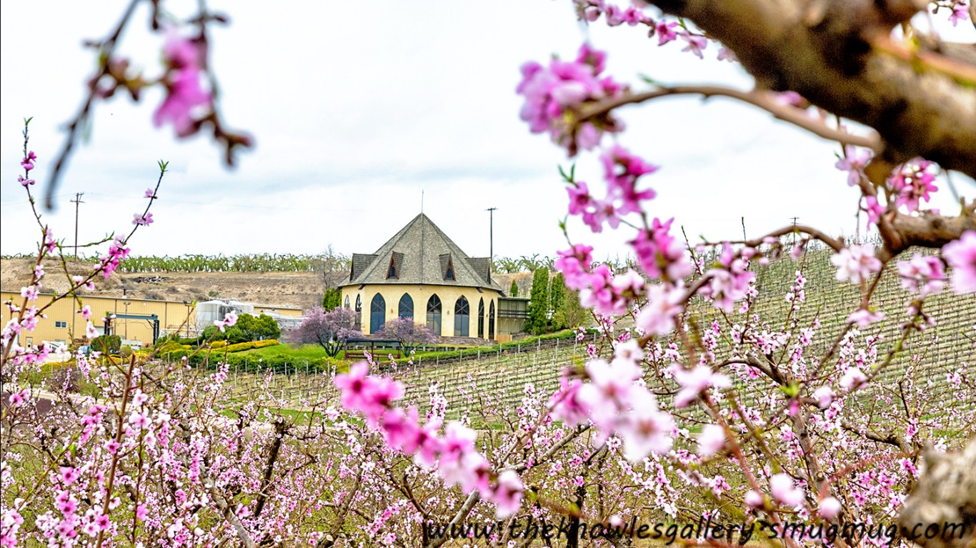 Idaho Winery Ste. Chapelle loo... by Charles Knowles