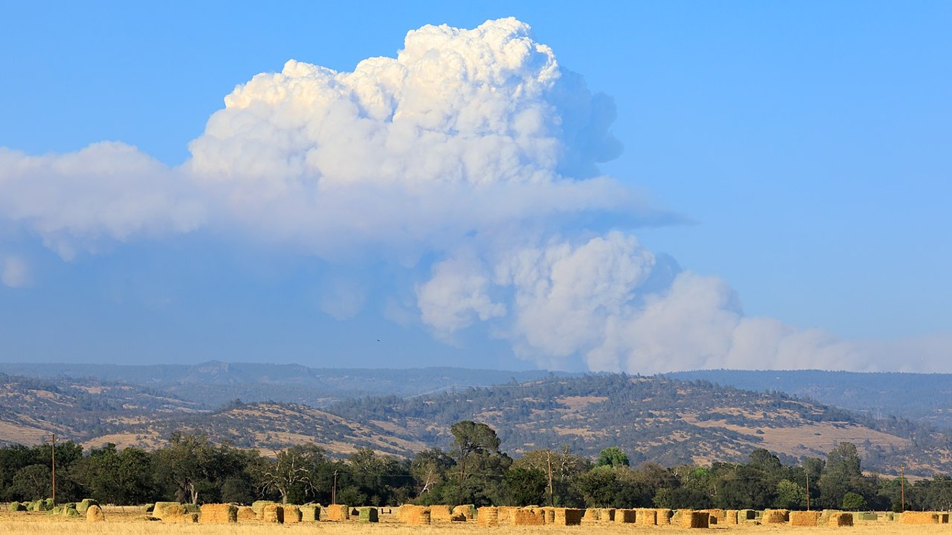 Pyrocumulus cloud... by Frank Schulenburg