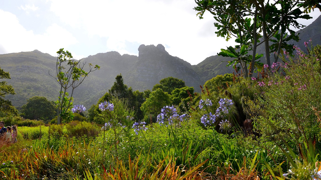 Kirstenbosch, Botanischer Garten Kapstadt (2017) by Olga Ernst