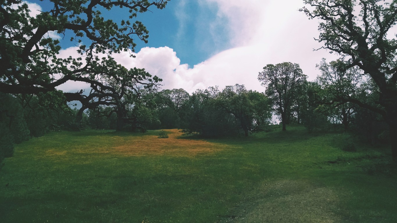 Ohlone wilderness trail - panoramio by Andy Xiang