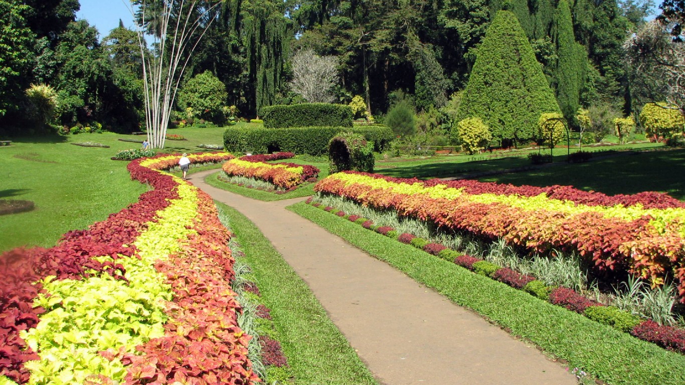 Botanical Garden of Peradeniya 03 by Bernard Gagnon