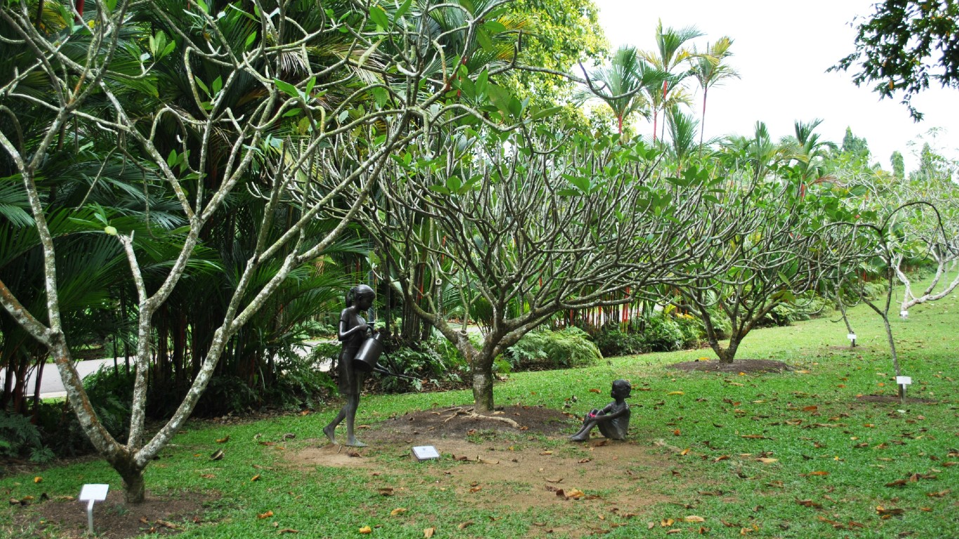 Singapore Botanic Gardens 2012 2 483 by Elisa.rolle