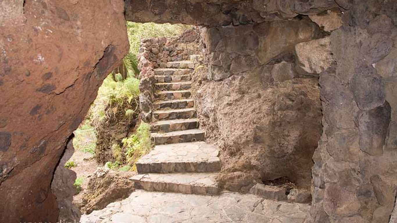 Jardu00c3u00adn Botu00c3u00a1nico Viera y Clav... by Canary Islands Photos - UNFILTERED